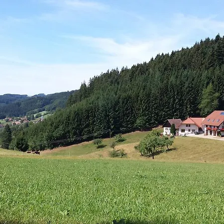 Ringwald Apartment Biederbach Baden-Württemberg