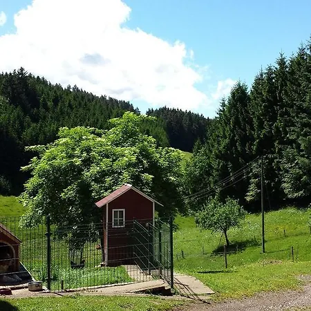 Apartment Ringwald Biederbach Baden-Württemberg
