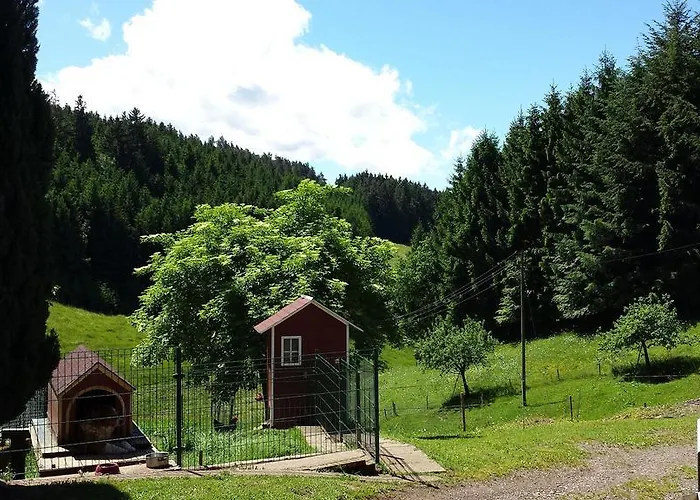 Apartmán Ringwald Biederbach Baden-Württemberg